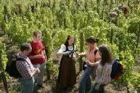 Bild: ProWein-Studie - Weintourismus liegt im Trend