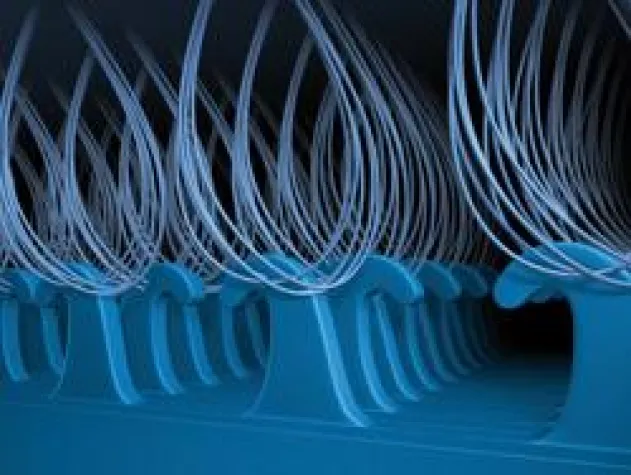 Bild: Aus einem Guss