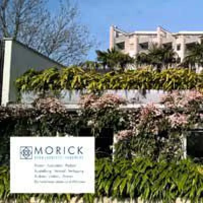 Bild: Gewerbehof der Morick GmbH in grünes Pflanzenparadies verwandelt