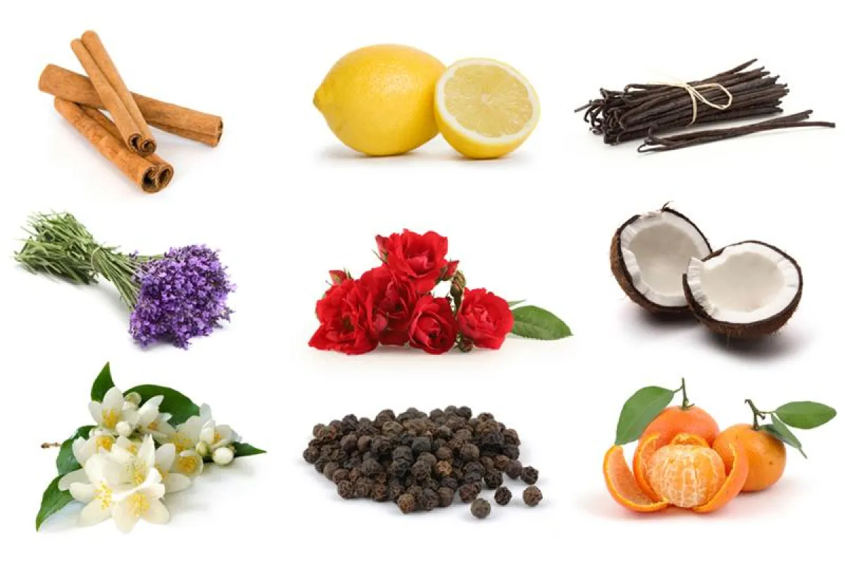 30 Duftnoten stehen zur Wahl