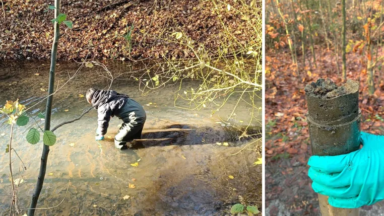 Hitzestress im Flussbett: Studie untersucht Fluss-Mikrobiom Bild: Hitzestress im Flussbett: Studie untersucht Fluss-Mikrobiom