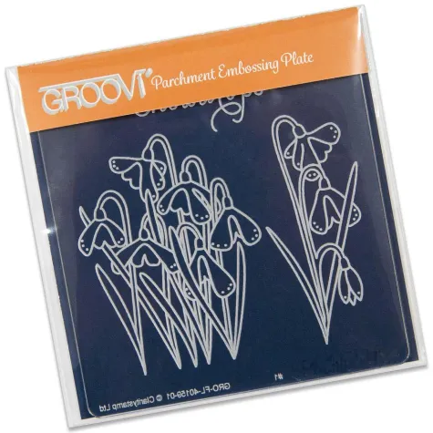 Bild: 10% Rabatt Aktion auf Barbara Gray und Neuheit - Lichtkasten