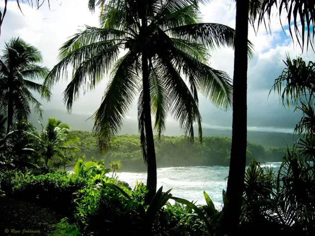 Bild: Hawaii authentisch erleben