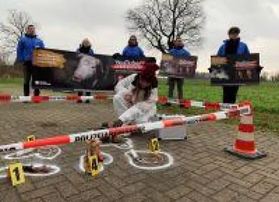 Bild: Ferkelzuchtbetrieb bei Drensteinfurt wird zum Tatort