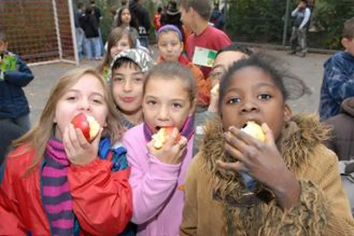 Fruchtigste Woche des Jahres mobilisiert Tausende Bild: Fruchtigste Woche des Jahres mobilisiert Tausende