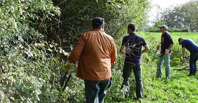 Bild: DENIOS Schweiz unterstützt WWF bei Erhaltung wichtiger Lebensräume