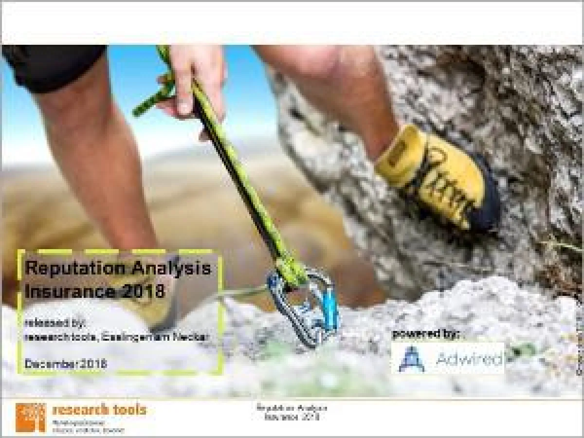 Reputation Analysis Insurance 2018