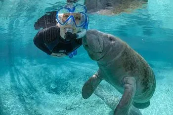 Bild: Mit allen Wassern gewaschen
