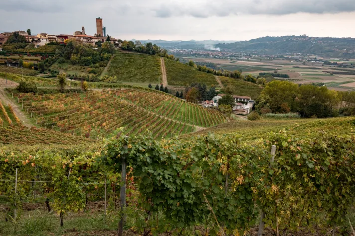 Bild: UNESCO-Landschaften im Piemonte: Wo Fässer rollen und Kunst im Weinberg steckt 
