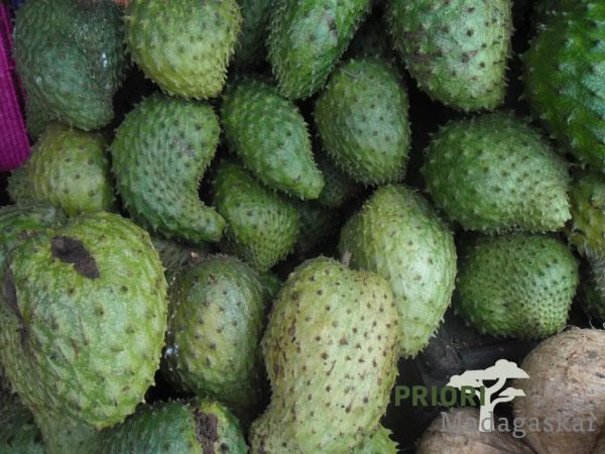 Corossol-Früchte aus Madagaskar