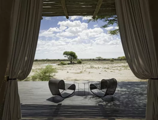 Bild: Onguma Game Reserve – Die Tiere Namibias hautnah erleben