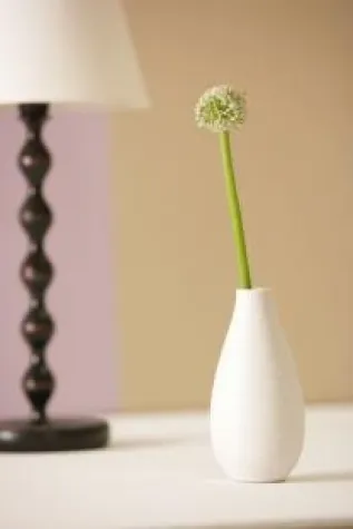 Bild: Naturfarben liegen im Trend