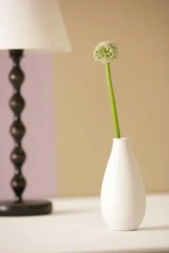 Naturfarben liegen im Trend Bild: Naturfarben liegen im Trend