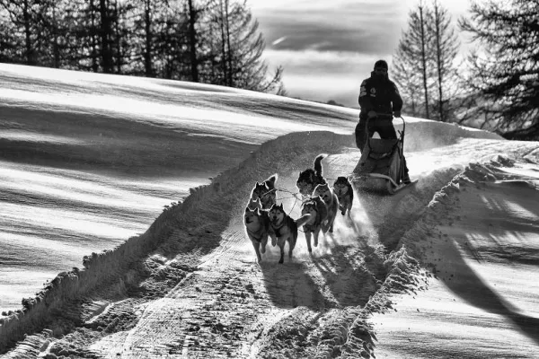 Bild: Ein Hauch von Sibirien im Engadin