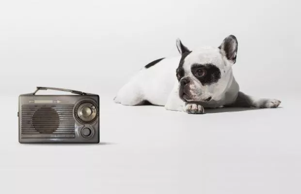 Bild: 16 Sieger beim Vorarlberger Werbepreis