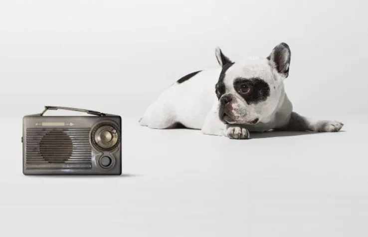 16 Sieger beim Vorarlberger Werbepreis Bild: 16 Sieger beim Vorarlberger Werbepreis