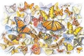 9999 Kunstdrucke helfen Schmetterlinge zu schützen – La Mariposa e.V. veranstaltet ungewöhnliches Gewinnspiel Bild: 9999 Kunstdrucke helfen Schmetterlinge zu schützen – La Mariposa e.V. veranstaltet ungewöhnliches Gewinnspiel