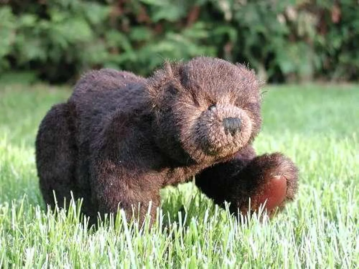 Bruno - JJ1 - von HERMANN-Spielwaren, Coburg