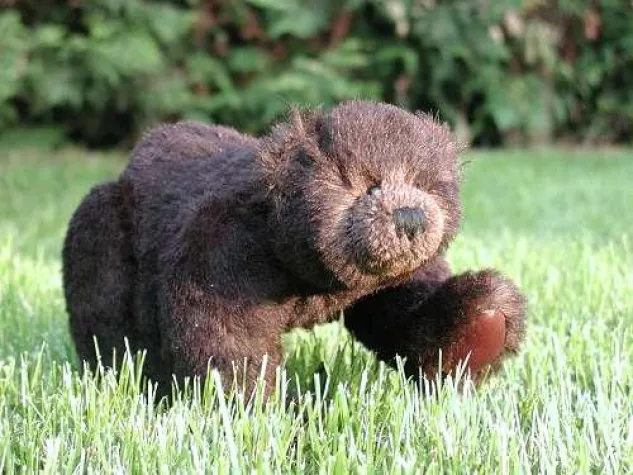 Bild: Bruno – JJ1 - Meister Petz in Bayern als Kultsammlerobjekt