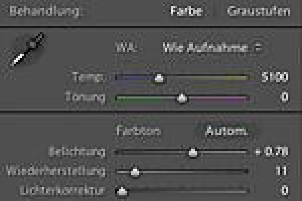 FOTOCAMPUS-Seminar: Lightroom für Einsteiger