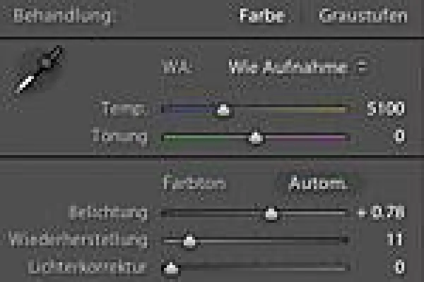 Bild: Einsteigerkurs Adobe Photoshop Lightroom