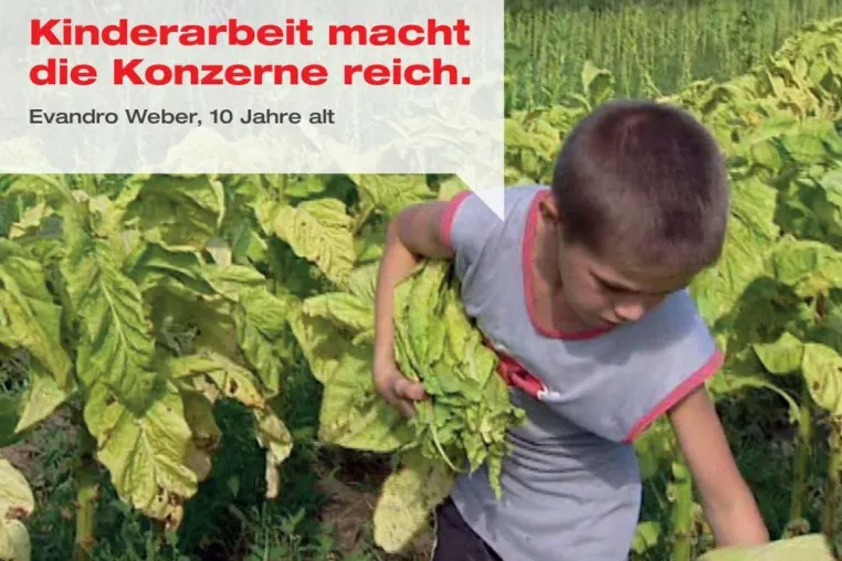 Bild: Kinderarbeit auf Tabakfeldern - Schwere Vorwürfe gegen die Tabakkonzerne