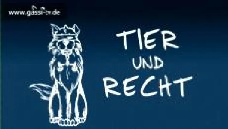 Bild: Tier und Recht am Mittwoch den 05. November