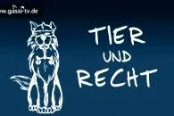 Tier und Recht am Mittwoch den 05. November Bild: Tier und Recht am Mittwoch den 05. November