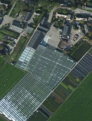 Bild: Der Onlineshop für Heckenpflanzen offiziell eröffnet