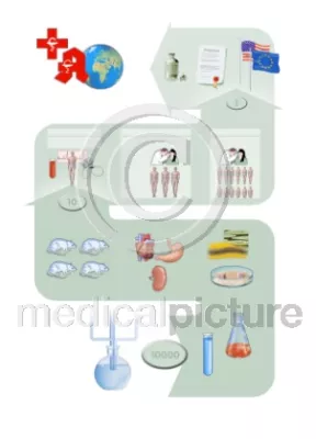 Bild: medicalpicture zum Anfassen auf der Medica 2005