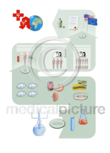 medicalpicture zum Anfassen auf der Medica 2005 Bild: medicalpicture zum Anfassen auf der Medica 2005