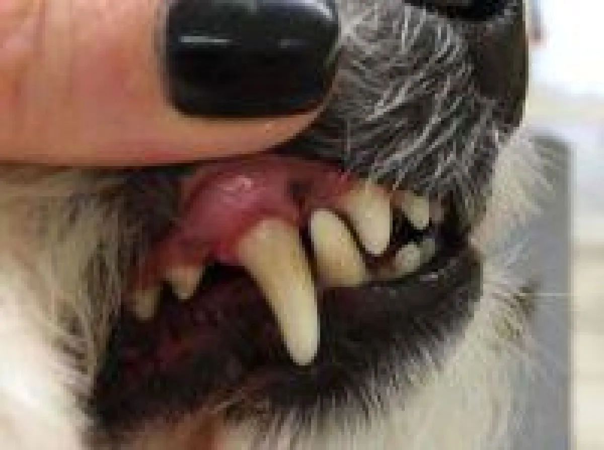 Nach erster Behandlung