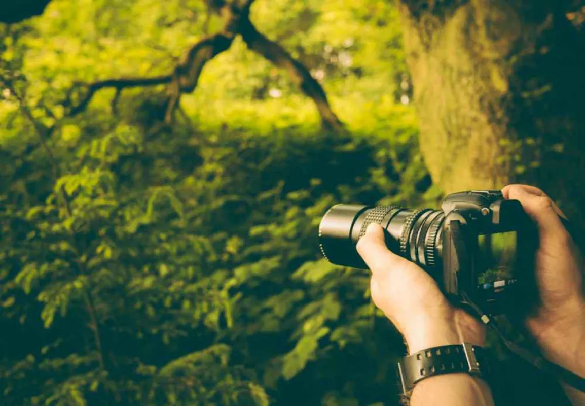 Großer Fotowettbewerb #SeiWeinsbergerTalEntdecker
