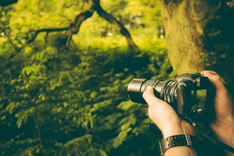 Bild: Großer Fotowettbewerb: #SeiWeinsbergerTalEntdecker