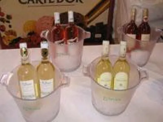 Bild: 16. Millésime Bio