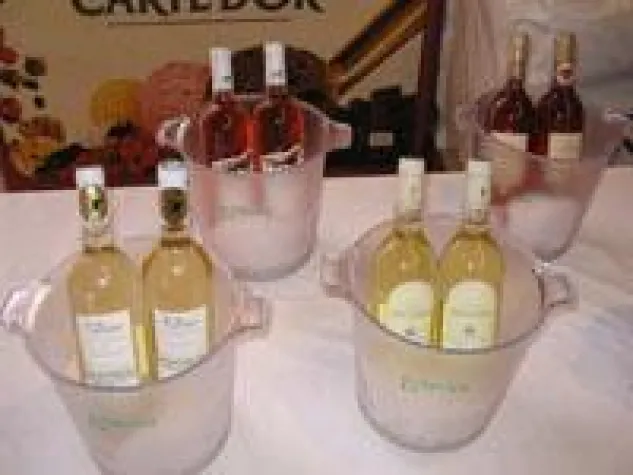 Bild: 16. Millésime Bio