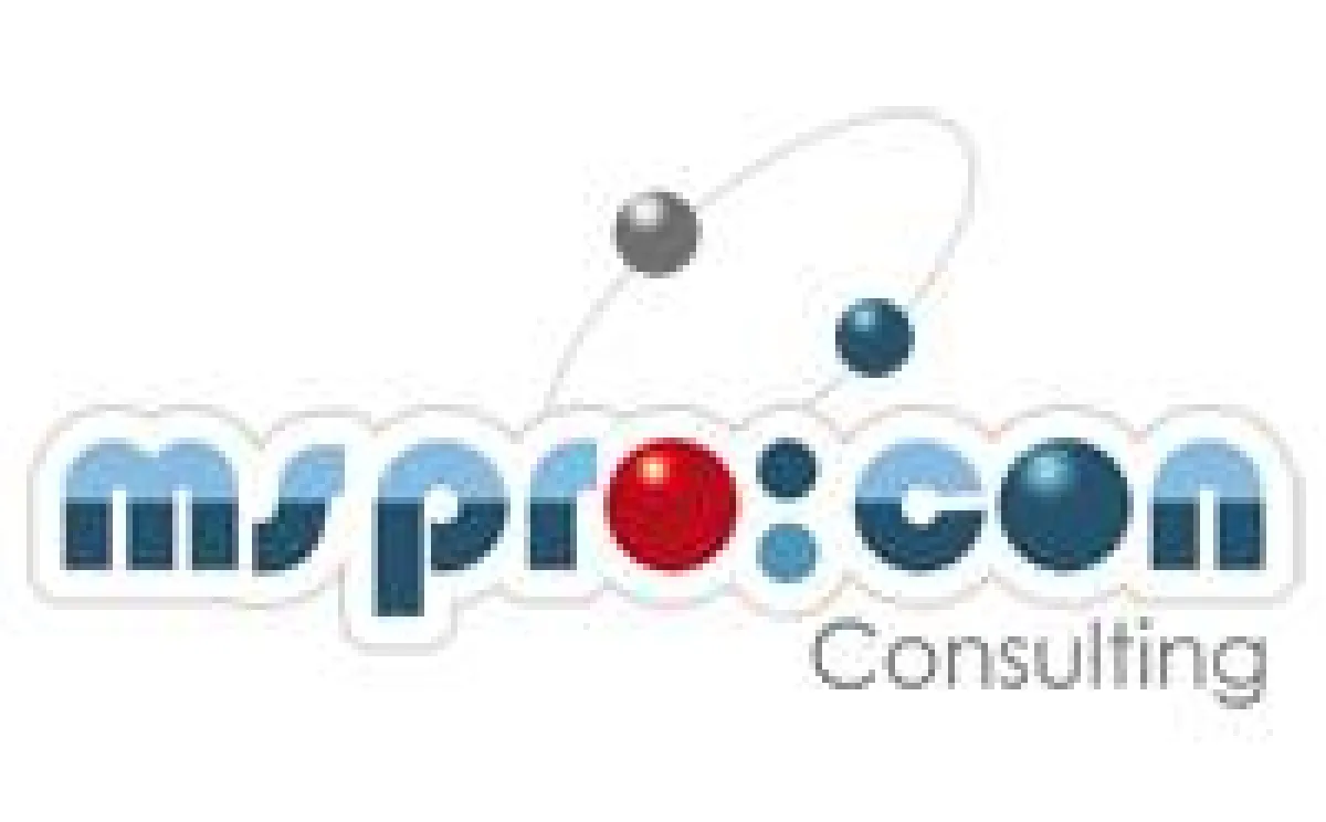 ms pro:con Consulting