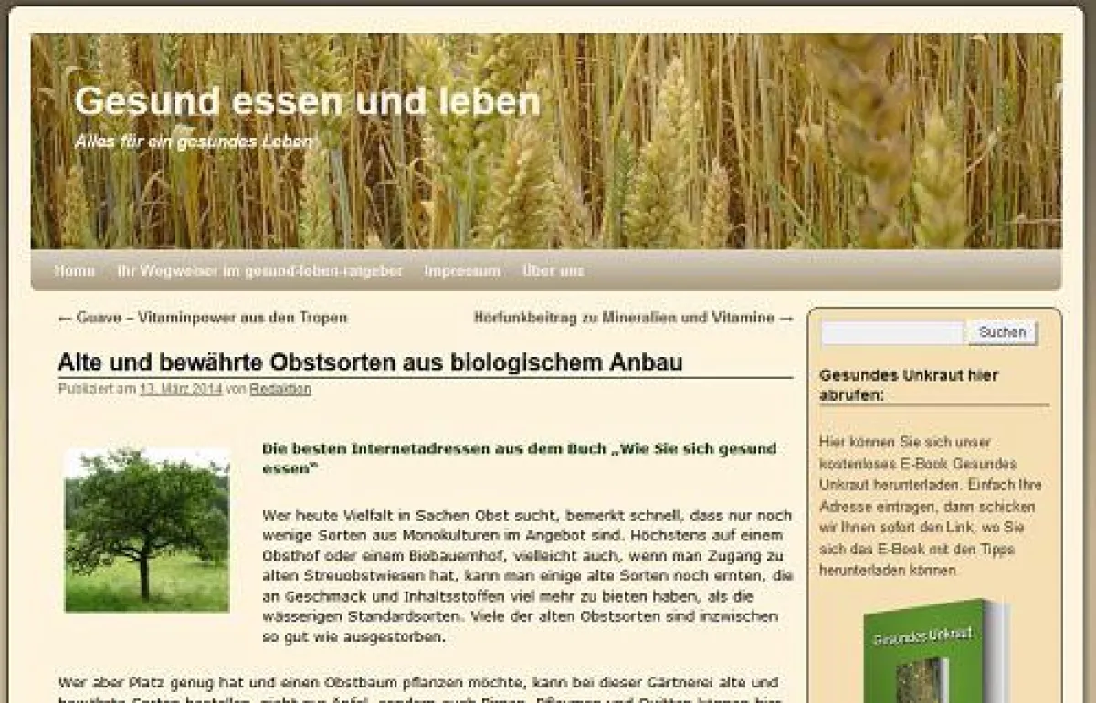 gesund-leben-ratgeber.de, Obst jetzt richtig genießen können