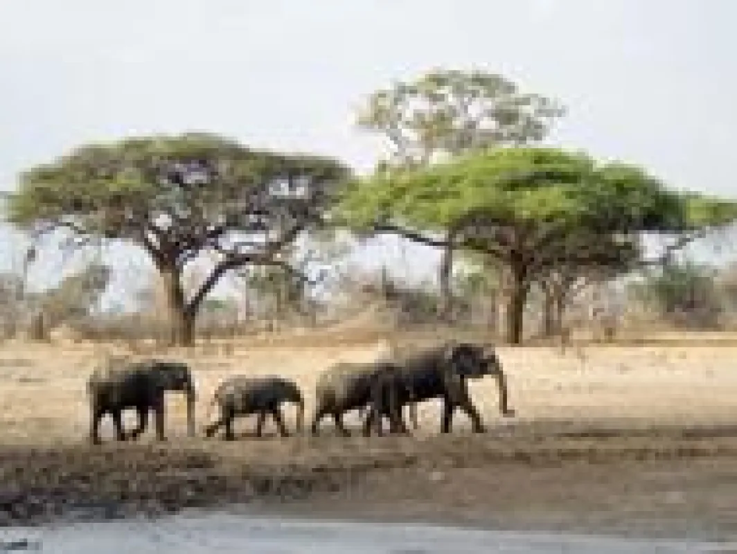 Afrika erleben mit Iwanowski's Reisen