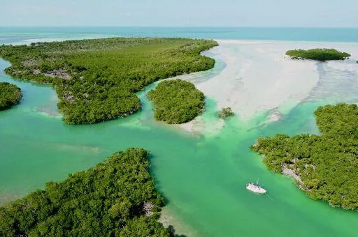 Roadstop beim Roadtrip auf den Florida Keys Bild: Roadstop beim Roadtrip auf den Florida Keys