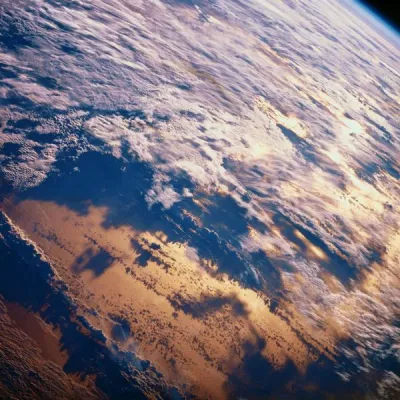 Passend zum Klimagipfel pflanzt my-energy.org Bäume mit Naturefund Bild: Passend zum Klimagipfel pflanzt my-energy.org Bäume mit Naturefund