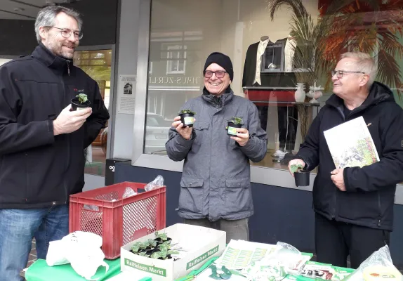 Bild: GRÜNE Donaueschingen: Mit Sonnenblumen und Zwiebel...