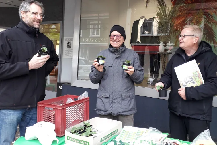 GRÜNE Donaueschingen: Mit Sonnenblumen und Zwiebel... Bild: GRÜNE Donaueschingen: Mit Sonnenblumen und Zwiebel...