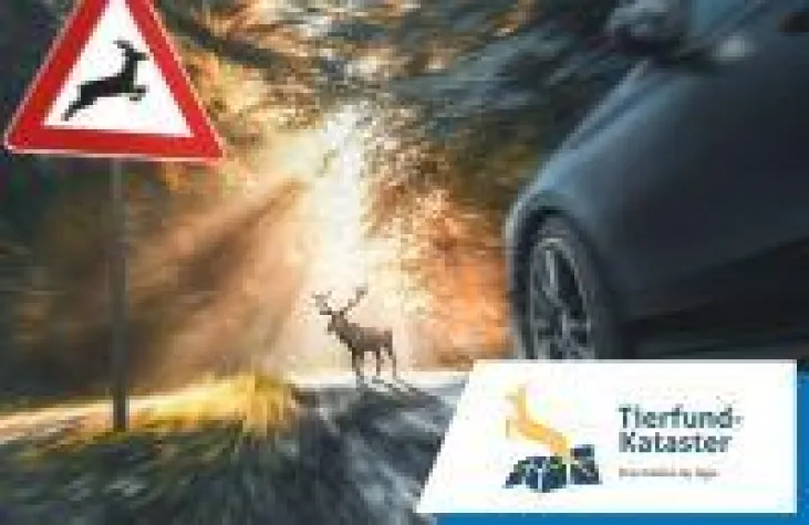 Bild: Wildunfälle erfassen, analysieren und auswerten