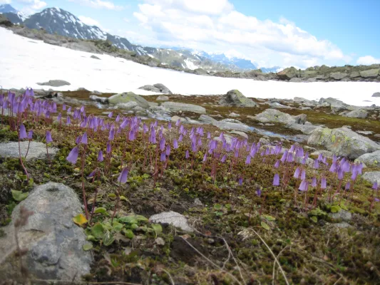 Bild: Wasserwiederverwendung als Baustein für Versorgungssicherheit: Erkenntnisse aus einem Reallabor