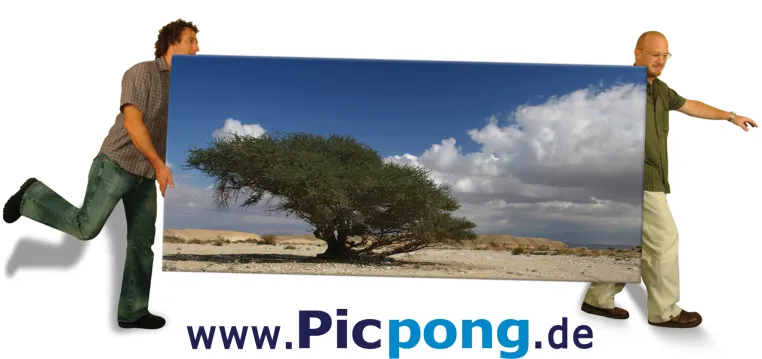 Vom Schnappschuss zum Riesenposter: picpong.de macht aus Bildern echte Hingucker Bild: Vom Schnappschuss zum Riesenposter: picpong.de macht aus Bildern echte Hingucker