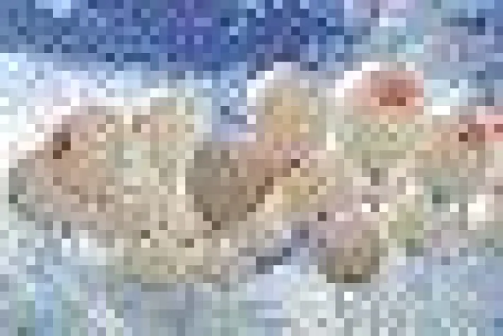 Bild: Gesundheit und Spaß verbinden