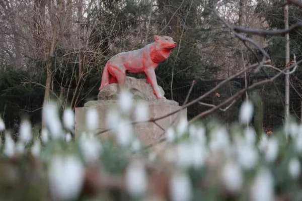 Bild: Schneeblumen-Gedenkweg am 13. April - Weg durch die Nacht als lebendiger Teil der Erinnerung