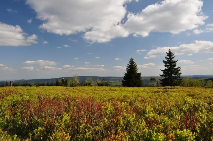Bild: Auf dem Europäischen Wanderweg E1 durch Sauerland und Siegerland