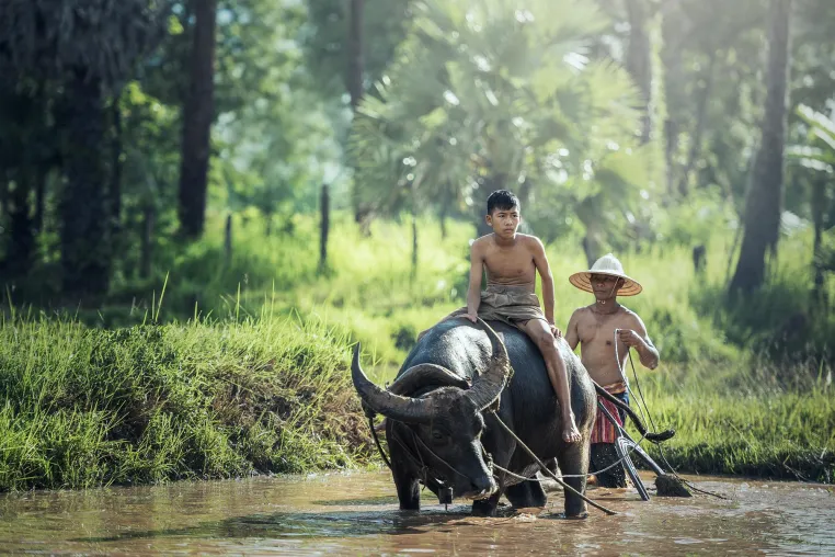 Bild: Thailand Behind the Scenes – Faszination Isaan